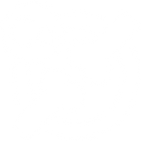 Ossa e Articolazioni Forti